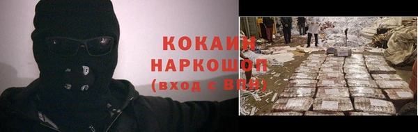 ПСИЛОЦИБИНОВЫЕ ГРИБЫ Няндома