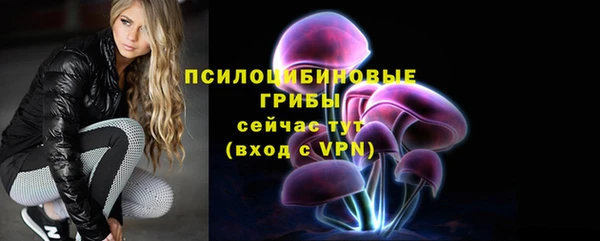 альфа пвп Бородино