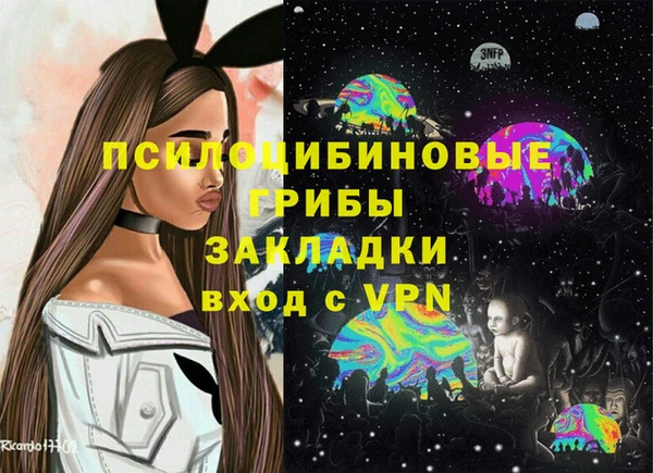 a pvp Володарск