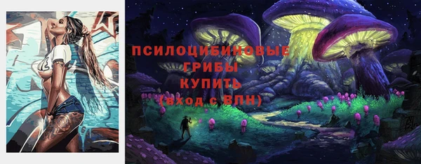 a pvp Володарск