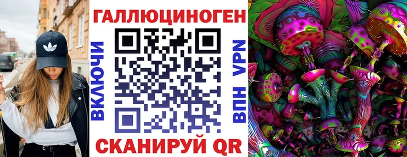 Псилоцибиновые грибы MAGIC MUSHROOMS  блэк спрут ССЫЛКА  Северск 